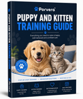 Training Guide