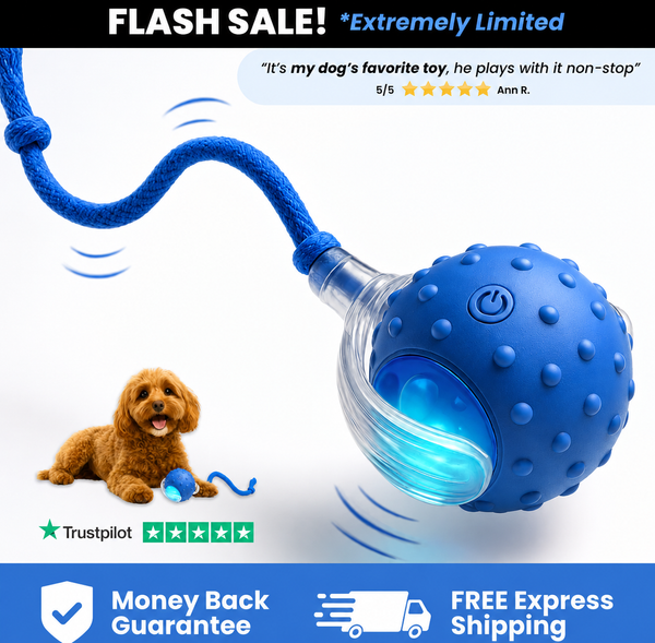 Porvera™ Stim Ball