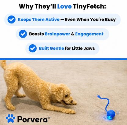 Porvera™ Stim Ball