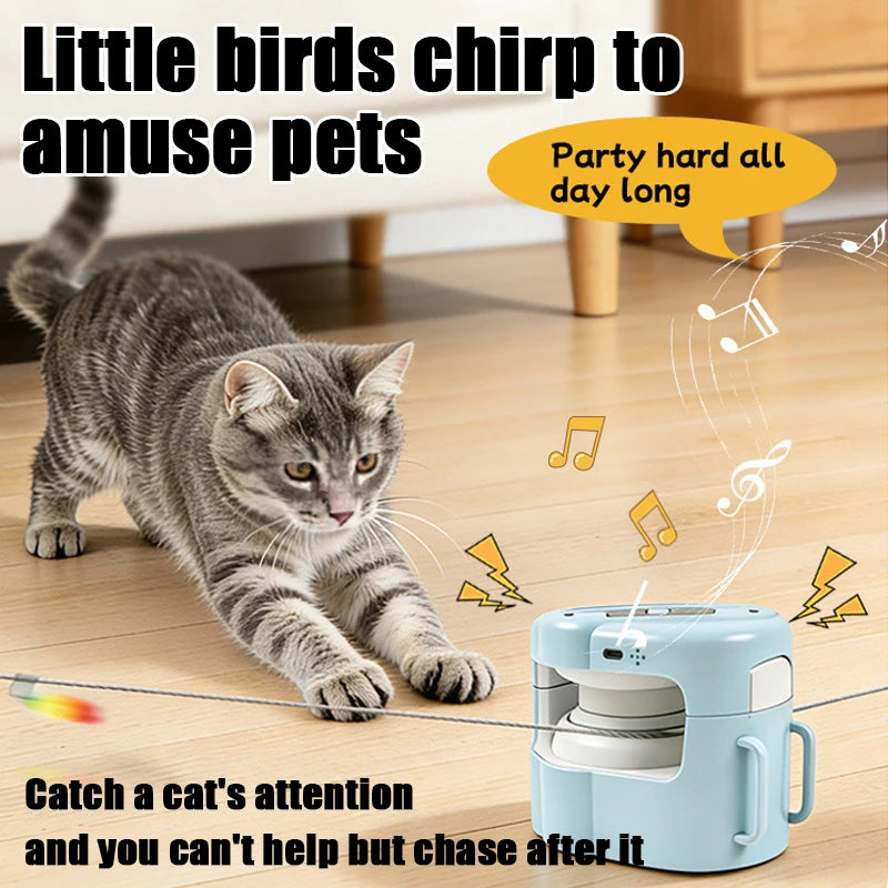 Porvera™ Whisker Chase