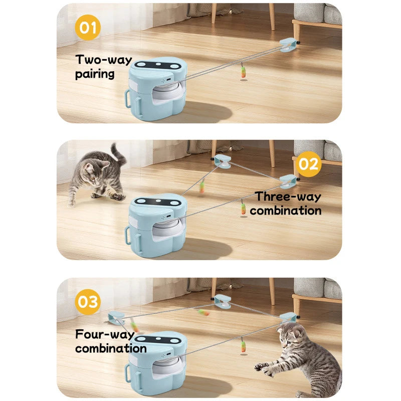 Porvera™ Whisker Chase