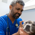 Dr John / Pet behaviourist Expert